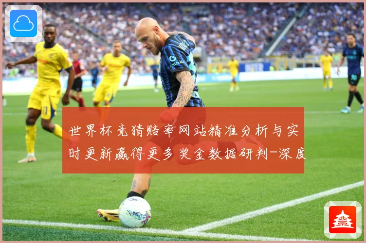 世界杯竞猜赔率网站精准分析与实时更新赢得更多奖金数据研判-深度解析
